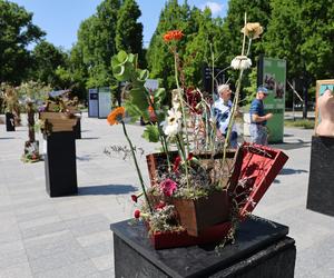 Weekend z florystyką w Lublinie. Zobacz imponujące roślinne instalacje w centrum miasta!