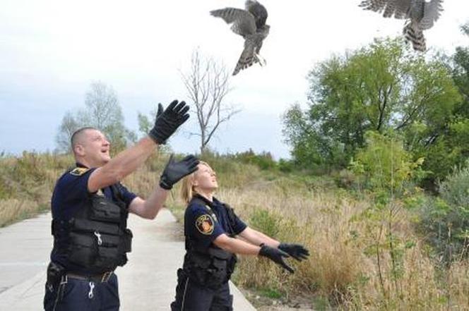 Interwencje Eko Patrolu w Warszawie