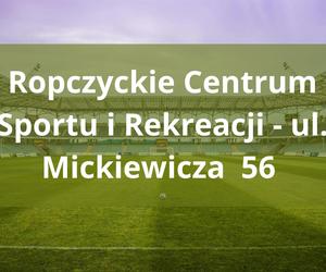  Tutaj powstaną Strefy Kibica Euro 2024 na Podkarpaciu 