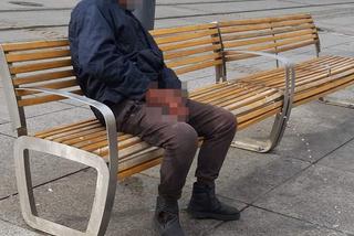 Katowice: Usiadł na ławce, wyjął PENISA i zrobił TO na oczach wszystkich. Obrzydliwe!