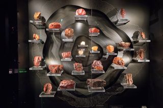 Co ma bursztyn do iPhone’a? Przekonałam się o tym podczas warsztatów fotograficznych w Gdańsku