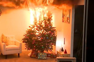 Przerażające nagranie płonącej choinki. Tak szybko płonie świąteczne drzewko!