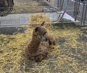 ZooPark w Lublinie. Dzień drugi