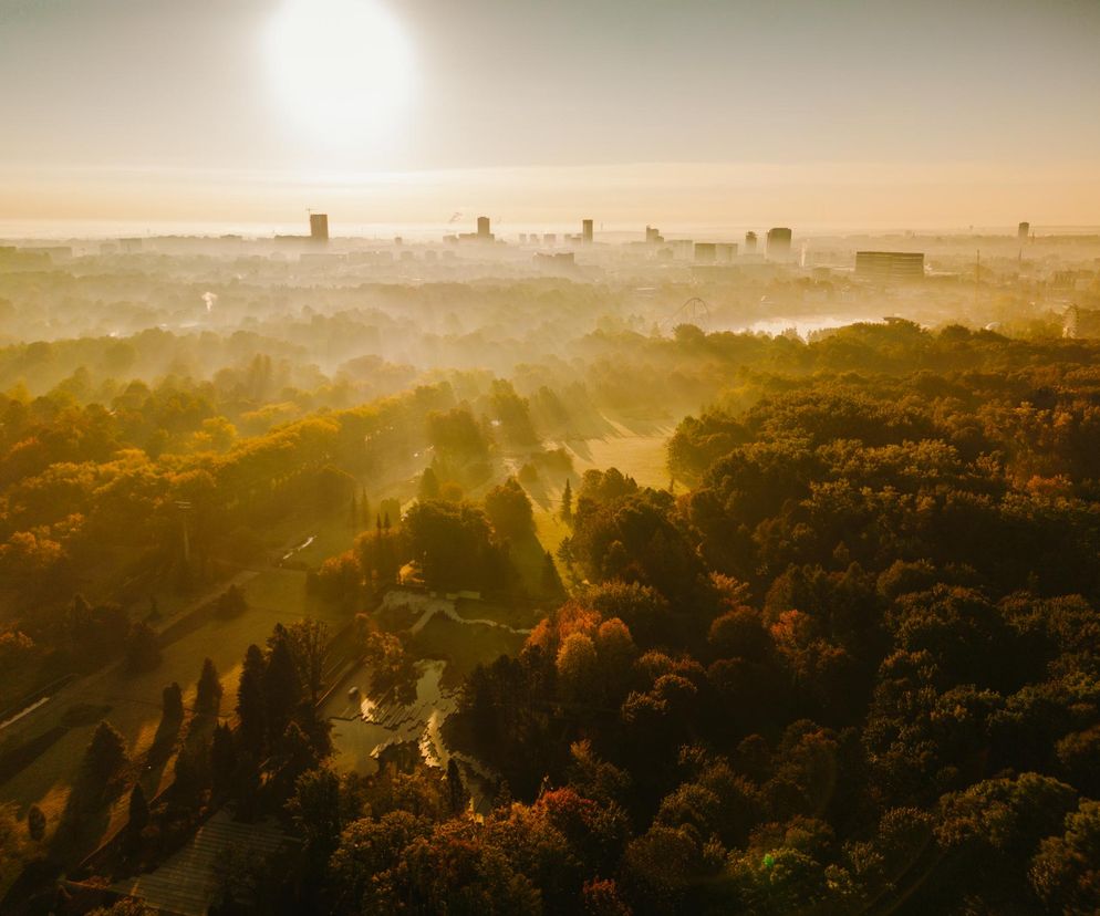 Co powstanie w Parku Śląskim za 160 mln zł? Znamy szczegóły projektu EKOPARK