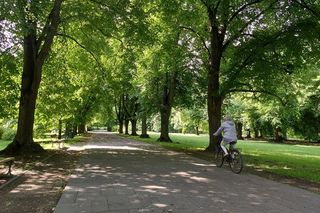 Park Miejski w Zamościu