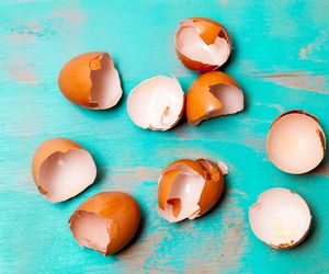 Kawałek skorupki wpadł ci do przyrządzanej potrawy? Nie panikuj! 