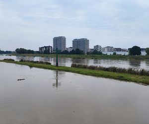 Fala powodziowa we Wrocławiu. Pod wodą są już beach bary i drogi 