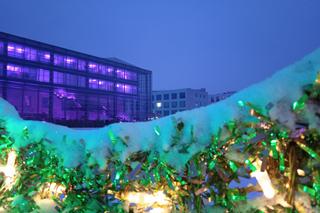 X Królewski Festiwal Światła