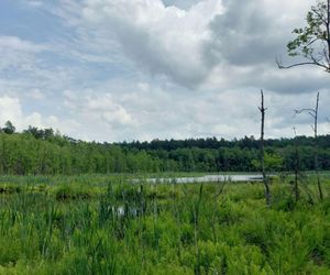 Nowe rezerwaty na Warmii i Mazurach. Sprawdź lokalizacje