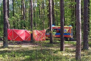 Tragedia na Lubelszczyźnie. Nie żyje 14-latka, która spadła z konia  