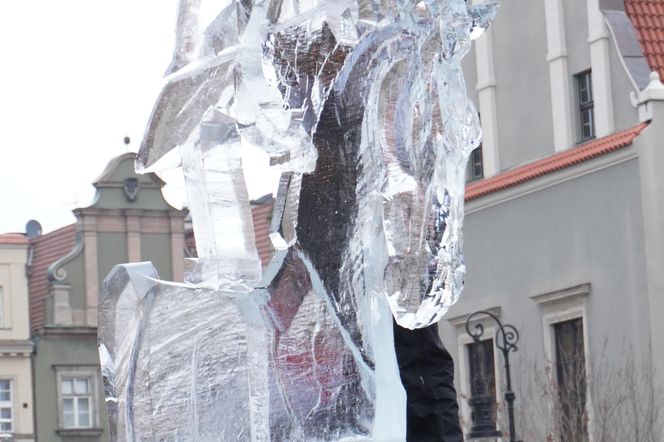 Poznań Ice Festival 2024 