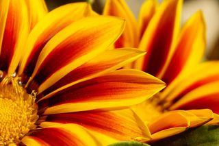 Życzenia imieninowe dla Jadwigi. Pokaż znajomej Jadzi, że o niej pamiętasz