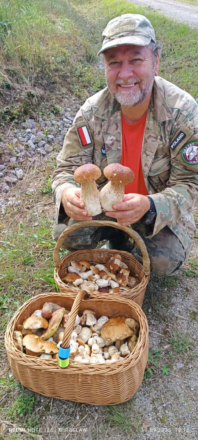 Grzyby wrzesień 2025