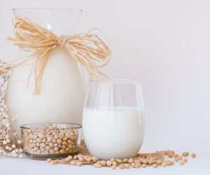 Roślinne (wegańskie) odżywki białkowe - czy warto je stosować?