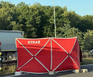 Tragedia na A4 w Rudzie Śląskiej. Nie żyje kierowca toyoty