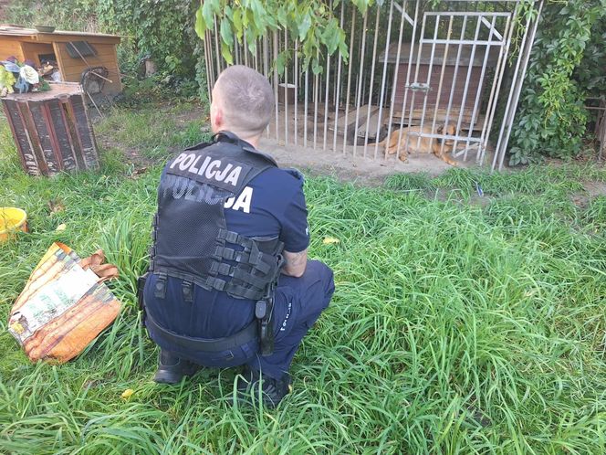 Dramatyczna interwencja Pet Patrol Rybnik. Pies konał w samotności