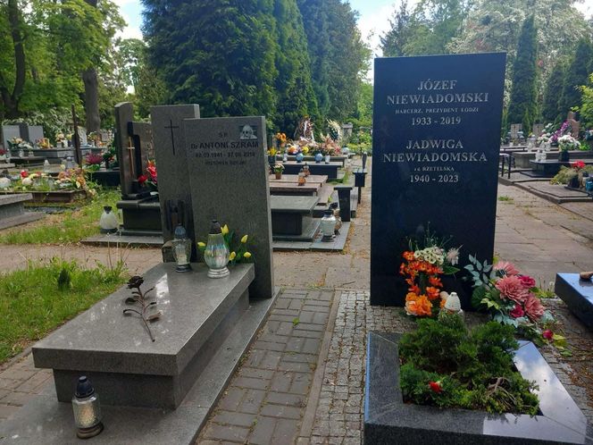 Aleja Zasłużonych Doły