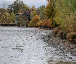 Policjanci kontynuują poszukiwania zaginionej Karoliny Wróbel