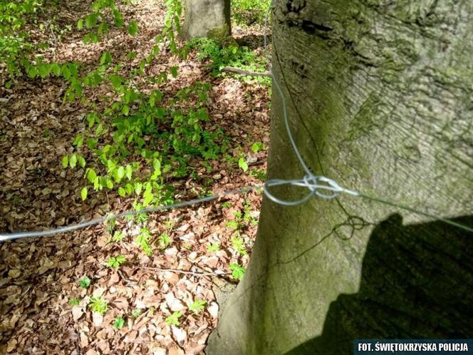 Pułapki na crossowców w świętokrzyskich lasach! Z miłosnika przyrody do przestępcy