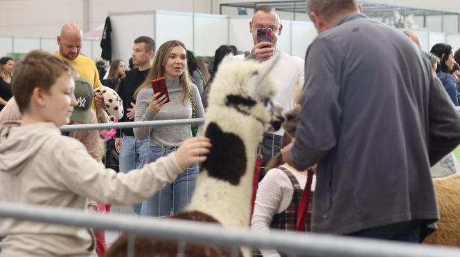 Tak wyglądał Zoopark 2024 w Lublinie! Zobacz zdjęcia