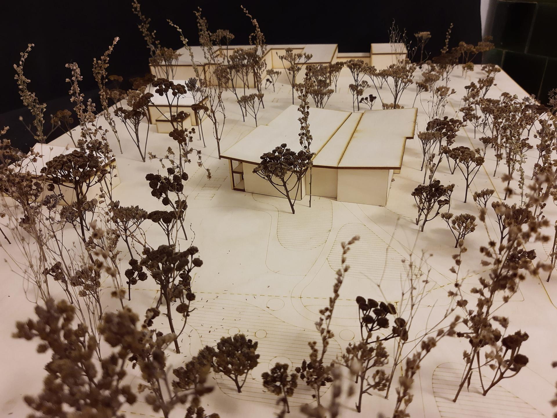 Energoefektywne przedszkole w Michałowicach: wyniki konkursu SARP