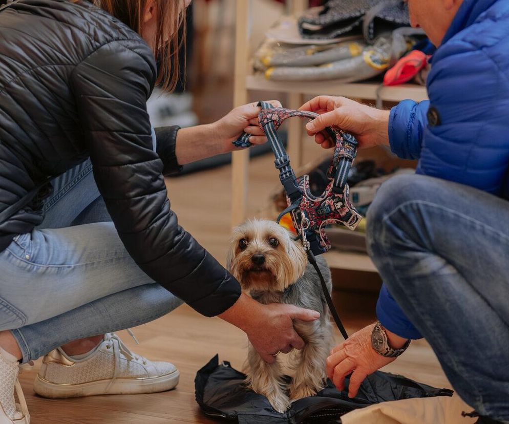 Już 11 października wraca PsieFajny Dzień w Alei Bielany! Wykłady, sesje foto i atrakcje dla psiarzy