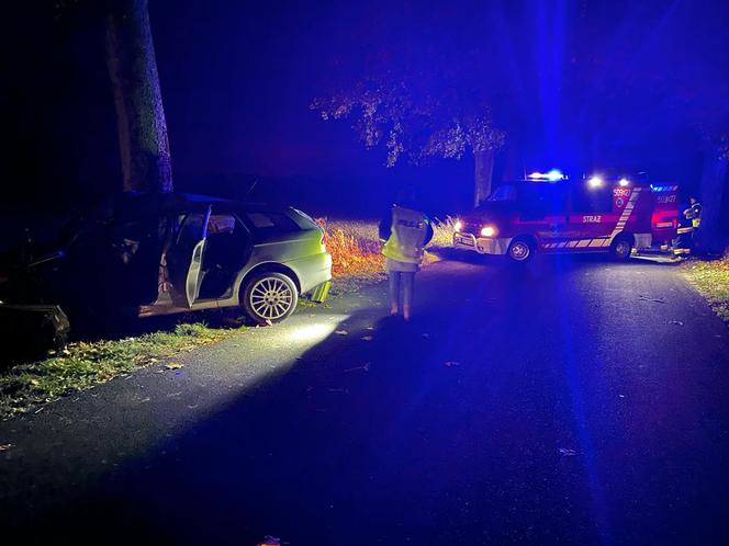 Tragiczny wypadek w gminie Kozłowo. Auto uderzyło w drzewo. Kierowca nie żyje [ZDJĘCIA]