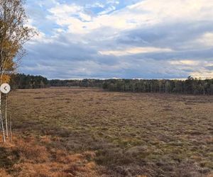 Katarzyna Cichopek i Maciej Kurzajewski poprawiny