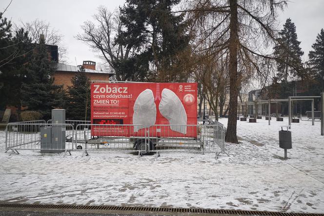 Zielone Kujawy postawią Mobilne Płuca w Toruniu