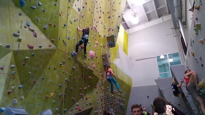 Akademickie Mistrzostwa Polski we wspinaczce sportowej