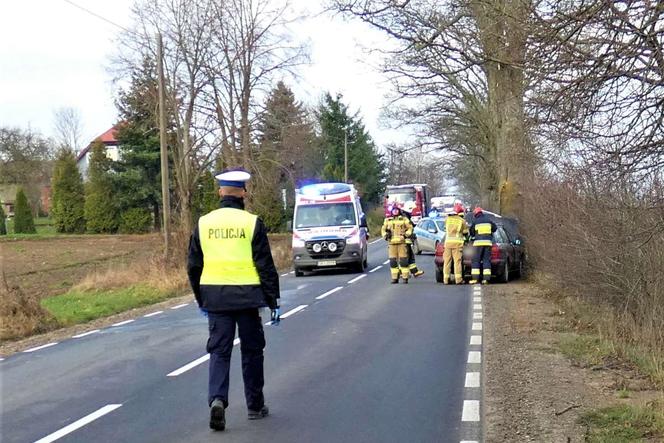 Pomorskie: 22-latka wjechała w drzewo. Groźny wypadek na drodze wojewódzkiej