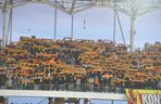 Kibice Korony Kielce