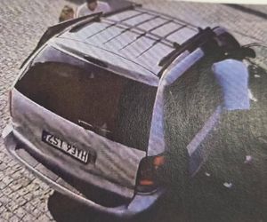 Kradzież psa w Świnoujściu