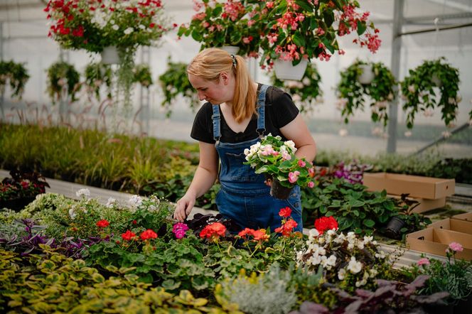 "Rolnik szuka żony"