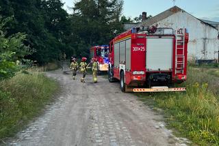 Dym było widać z wielu kilometrów 