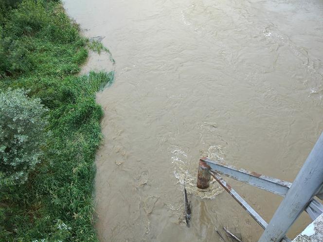 Wysoki Dunajec pod Tarnowem! Biała przy Azotach też przybiera
