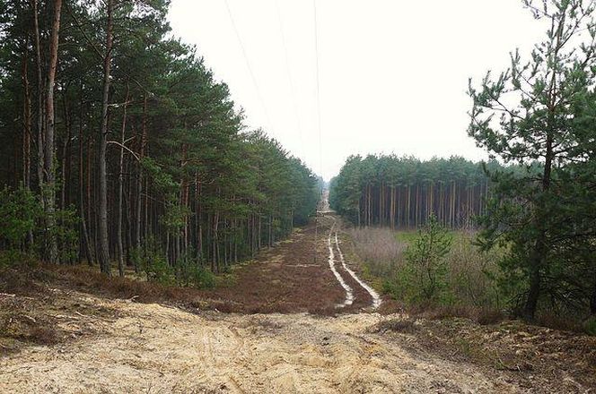  Puszcza Notecka – dziko i spokojnie