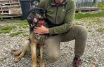 Suczka-saperka Molly znalazła granat. Właściciel nie mógł uwierzyć własnym oczom