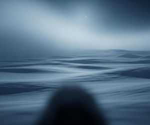 Atak niedźwiedzia polarnego. Co przeoczył fotograf przed śmiercią?