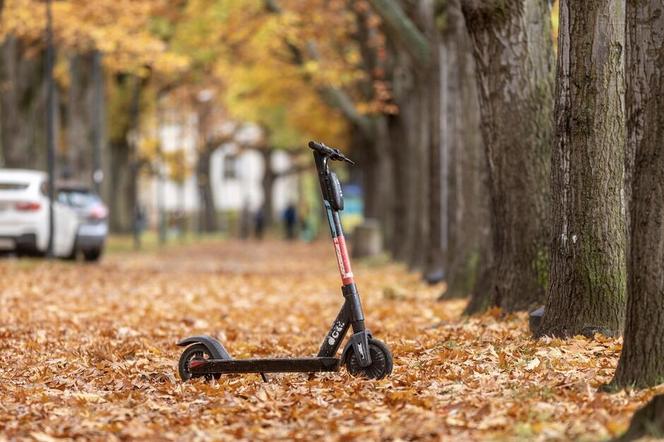 Hulajnogi elektryczne to coraz większy problem. Straż miejska podliczyła mandaty 