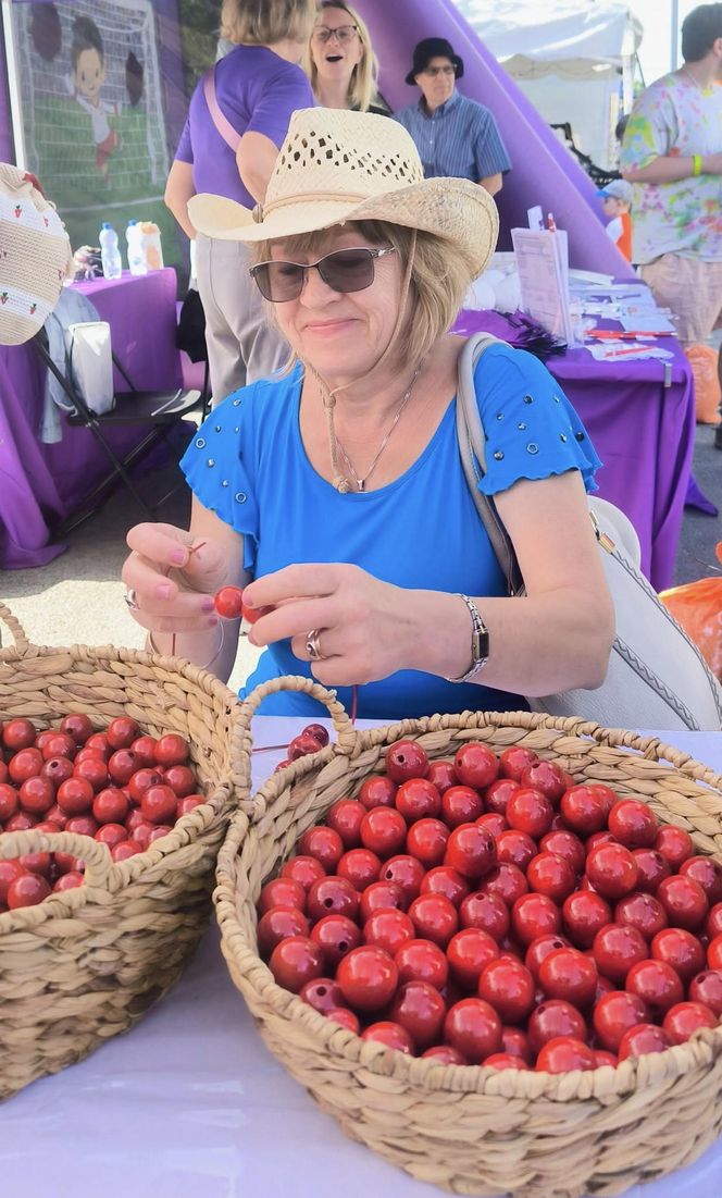 42. Festiwal Taste of Polonia w Chicago