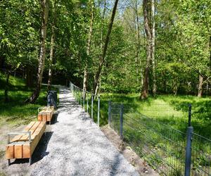 Tak wygląda park w dolinie Ślepiotki w Katowicach