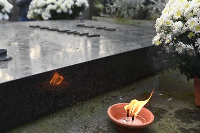 Gwiazdy kwestują na Powązkach