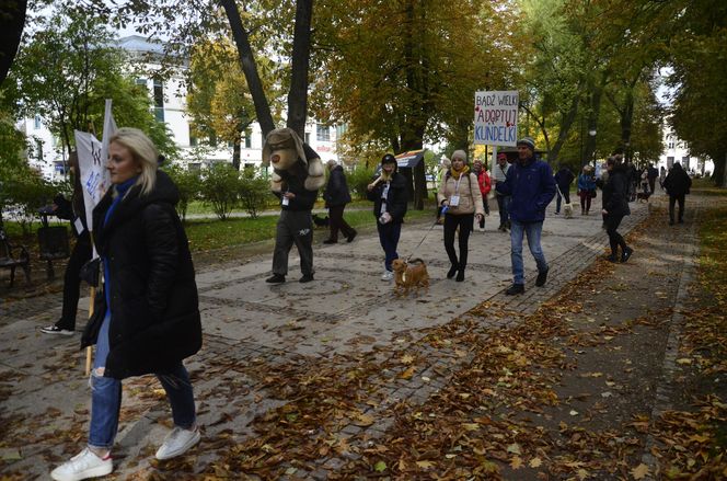 Wielki marsz adopciaków w Radomiu