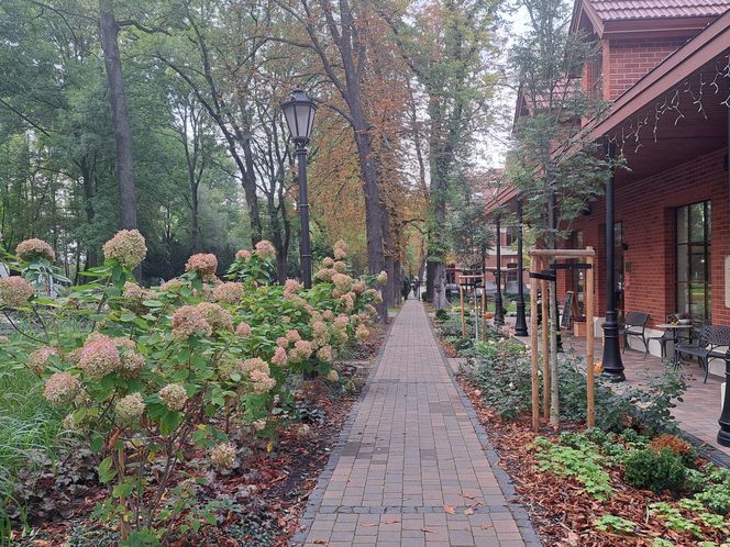 Park Zdrojowy w Krakowie