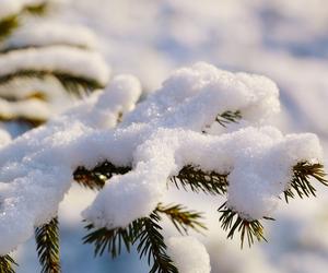 Pogoda na Boże Narodzenie 2022. Czy w Tarnowie będą białe święta?