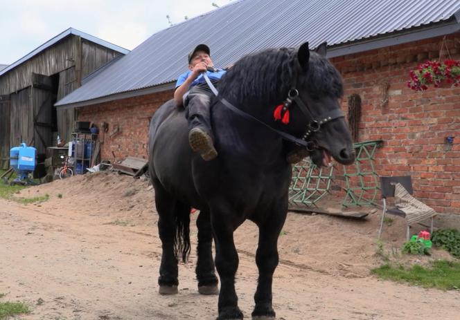 Rolnicy. Podlasie. Gospodarstwo Jarka i Agnieszki z Bronowa