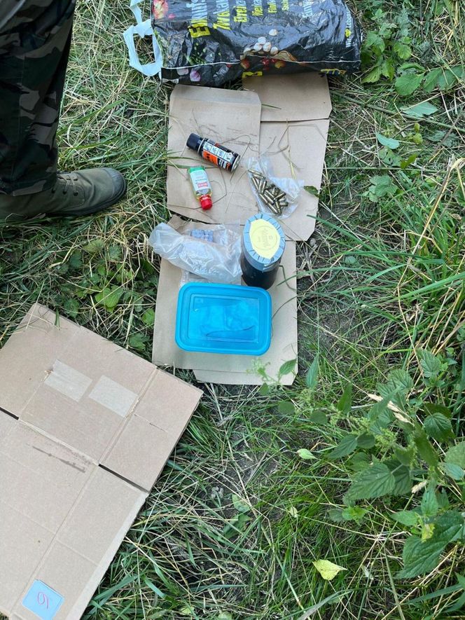 Gigantyczna plantacja konopi zlikwidowana. Policja zabezpieczyła marihuanę, kokainę, broń i amunicję