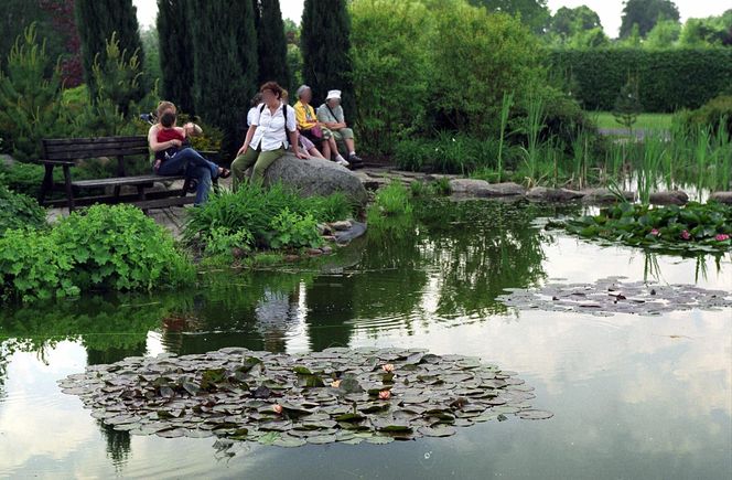 Ogród Botaniczny w Powsinie