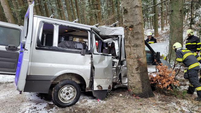 Potworny wypadek pod Krynicą-Zdrój! Nie żyje 32-latek ze Słowacji. Bus z 4 osobami rozbił się o drzewo [ZDJĘCIA]